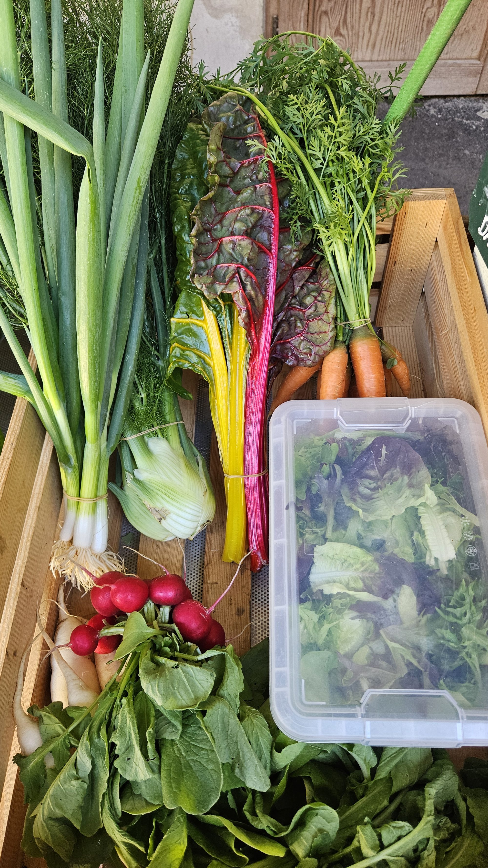 🥬 Unsere Ernte Ende Mai in Bildern und mit fantastischen Rezepten