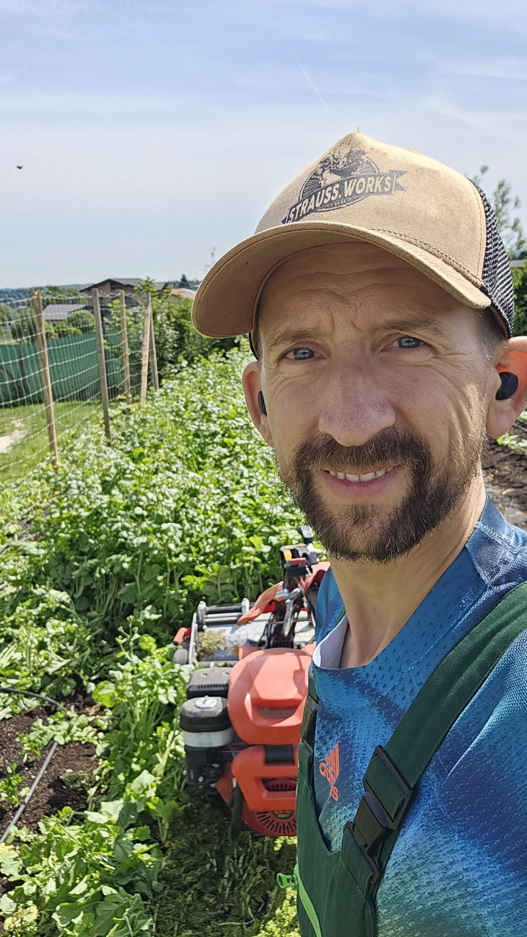 🥬 Rezepte, Bilder und Videos zur Ernte – KW23 03.06.2026