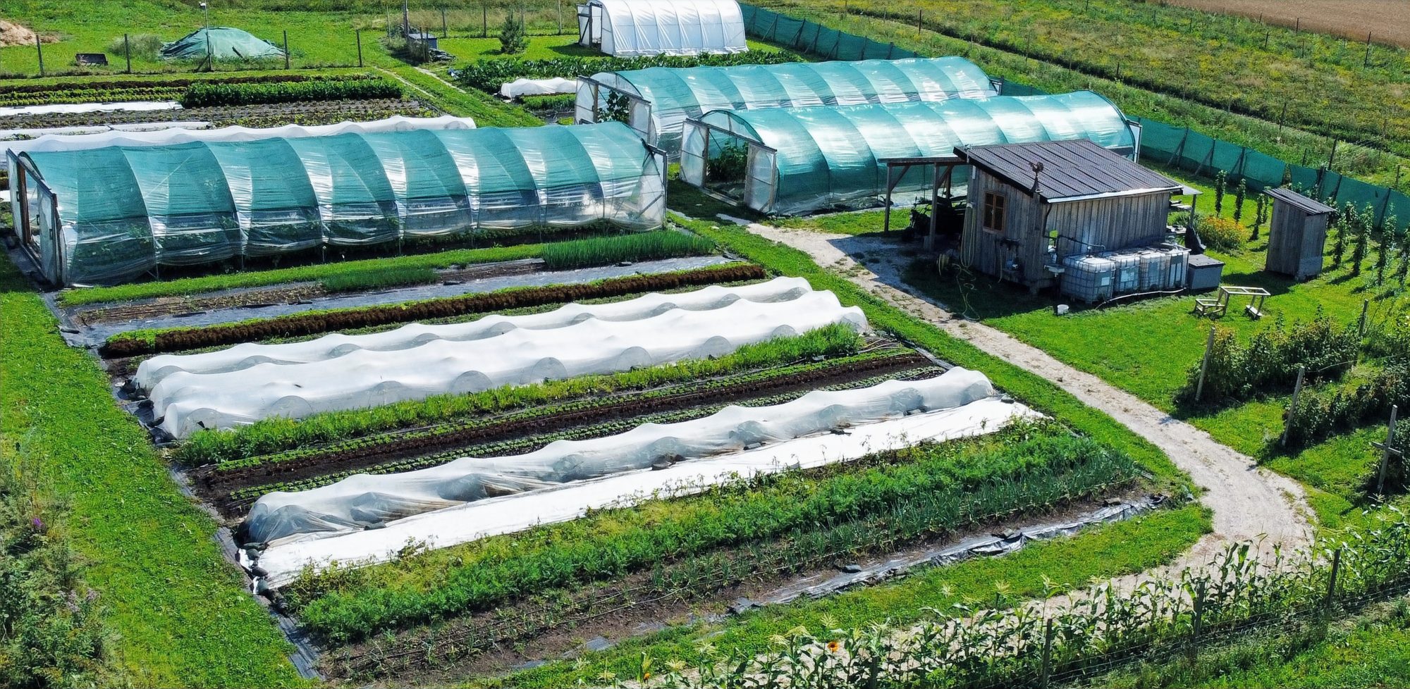 Im WURZGARTEN. betreiben wir seit 2022 biointensiven Gemüsebau auf kleinster Fläche mit standardisierten Beeten.