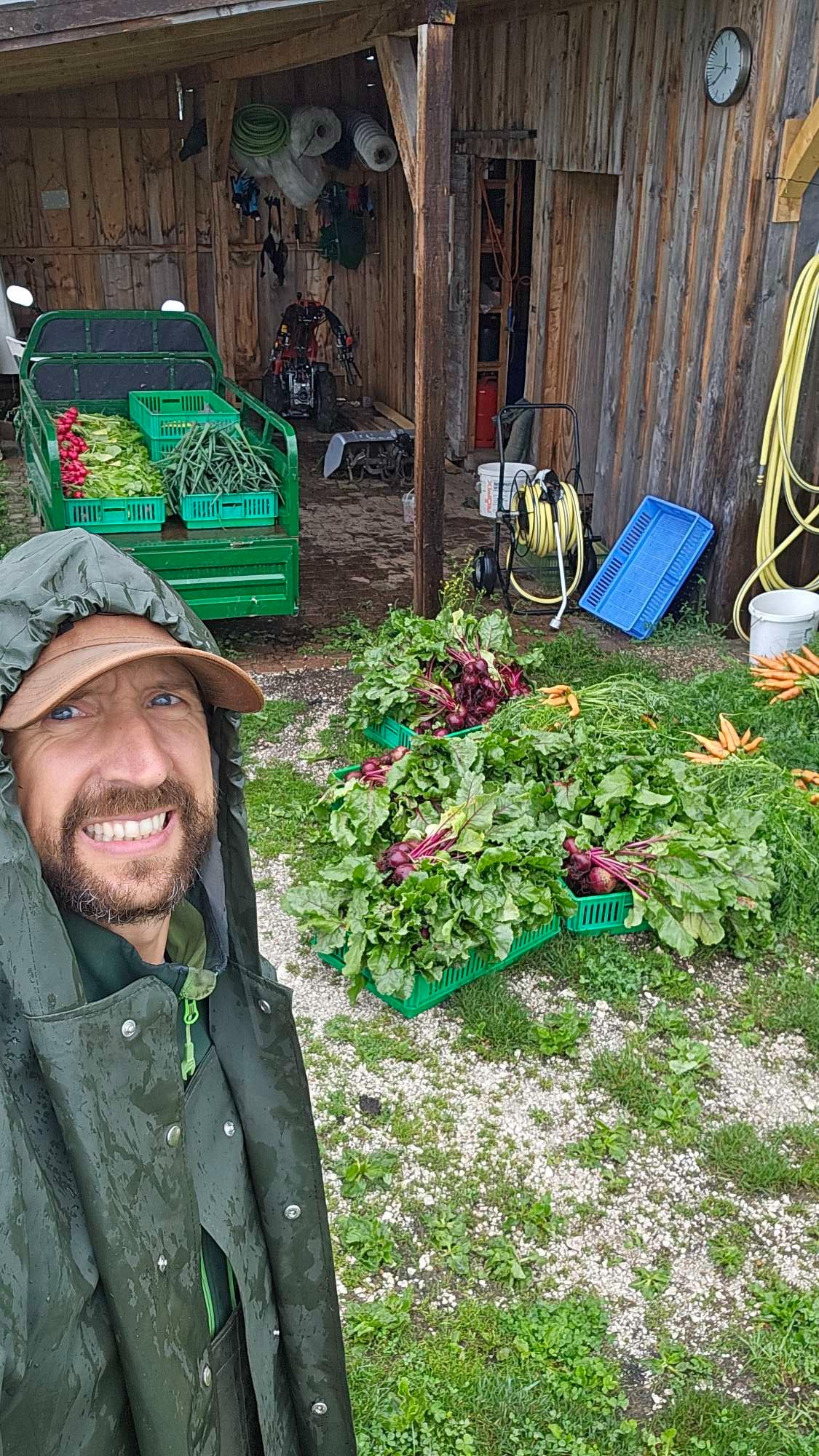 🥬 Rezepte und Bilder zur Ernte – KW24 10.06.2026