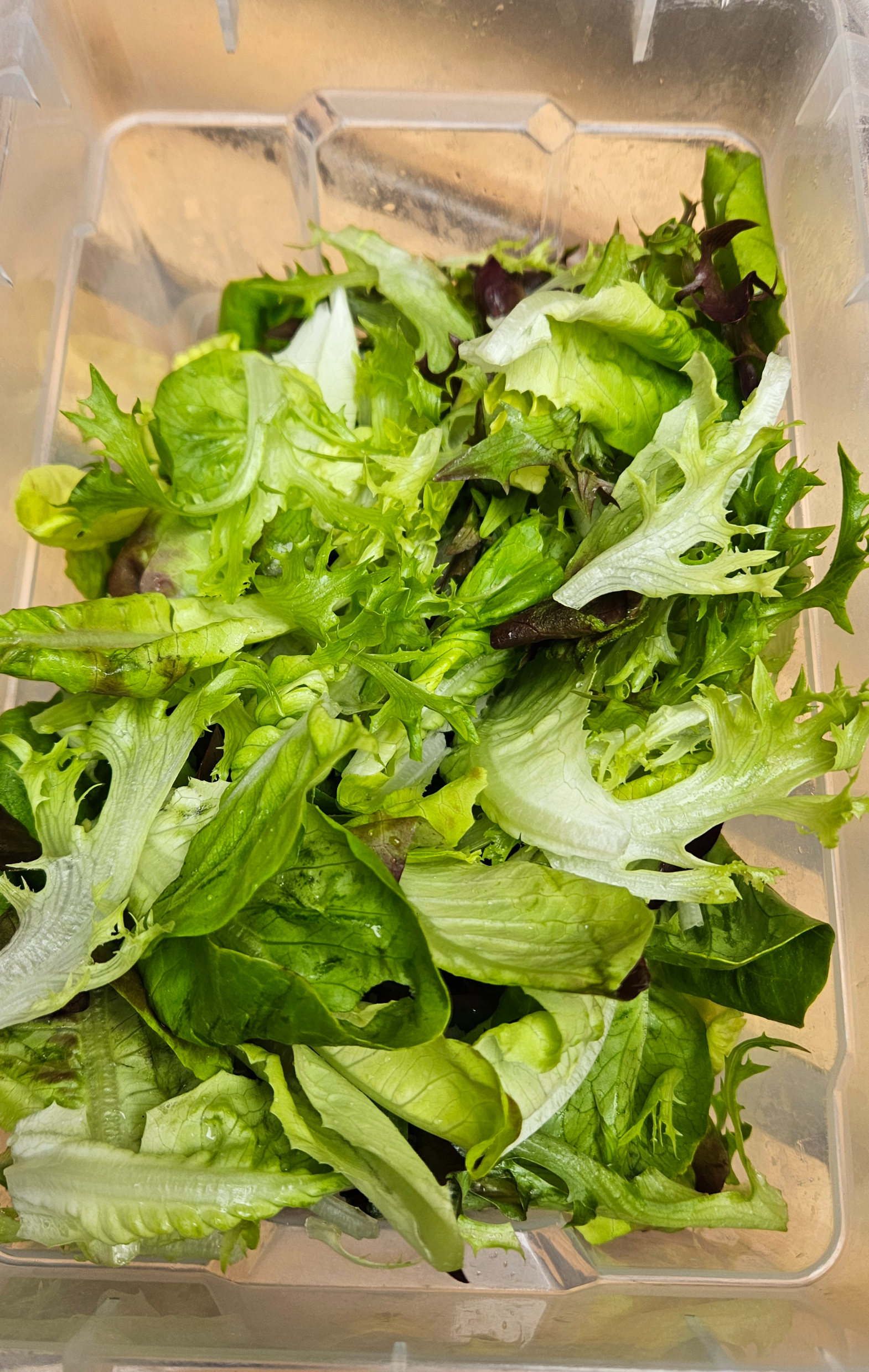 Frischer Schnittsalat aus dem Bio-Gemüseabo WURZGARTEN – gewaschen und schleuderfertig, Aurach am Hongar
