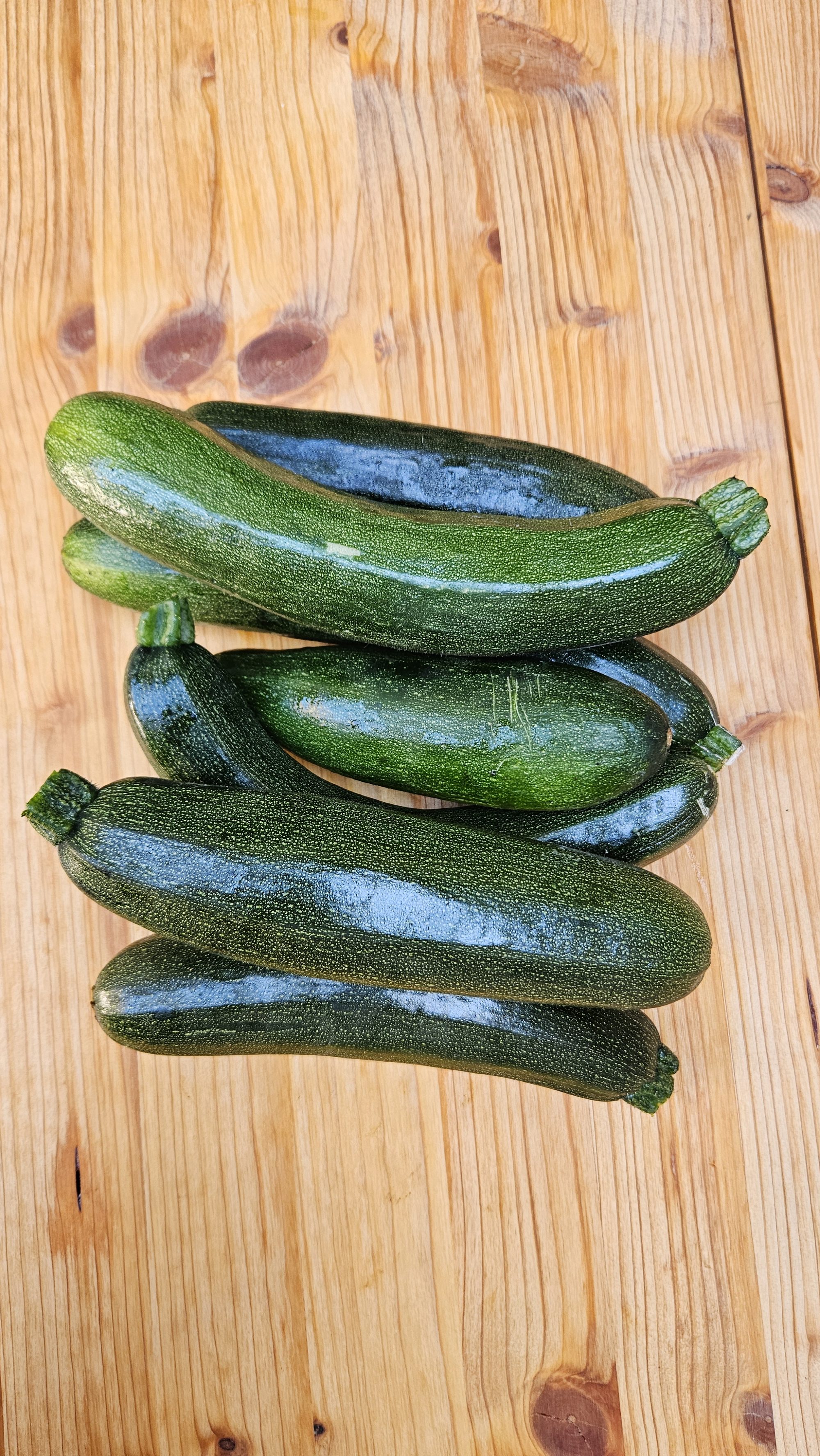 Frische Zucchini