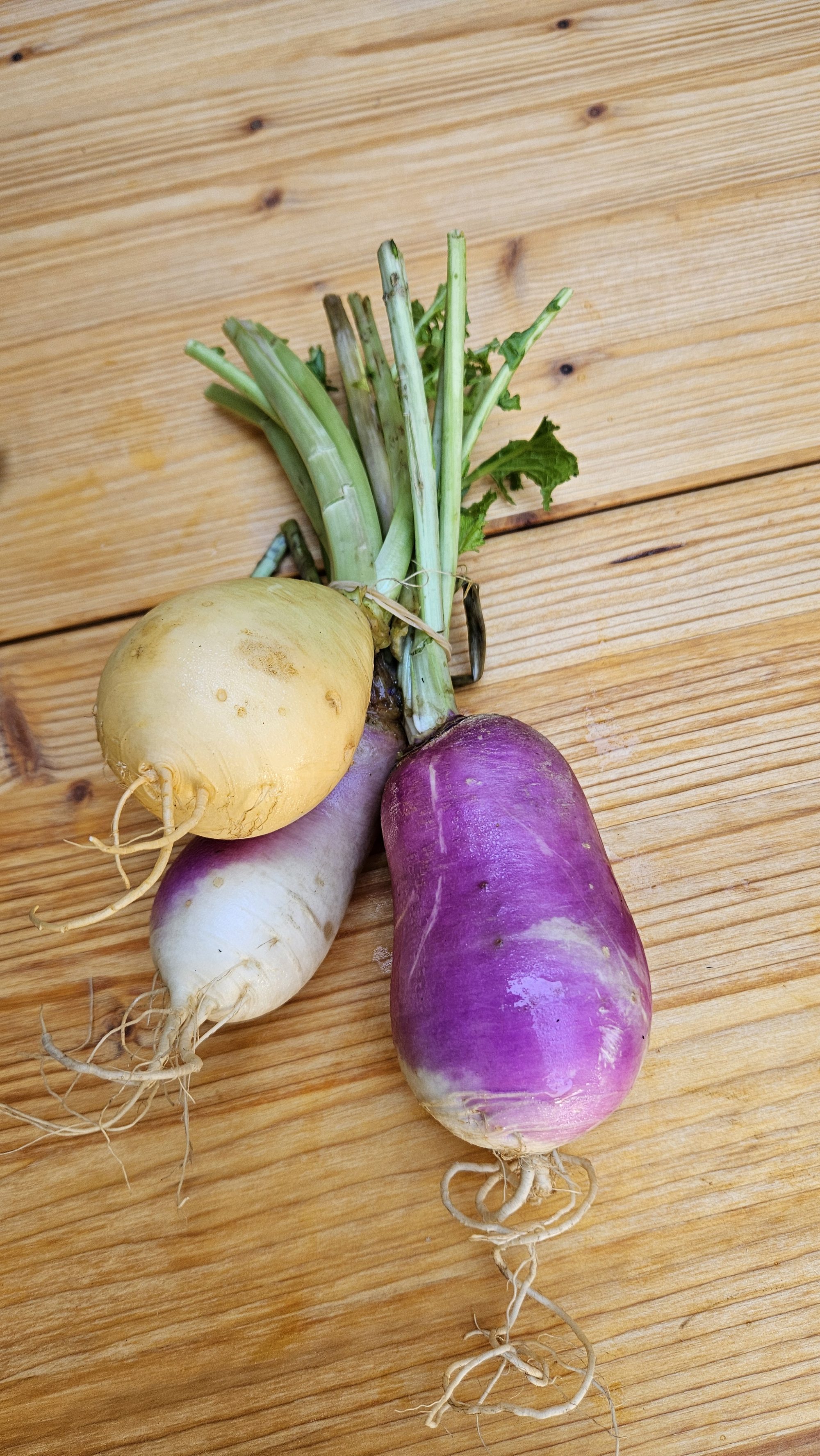 Frische MairĂĽben