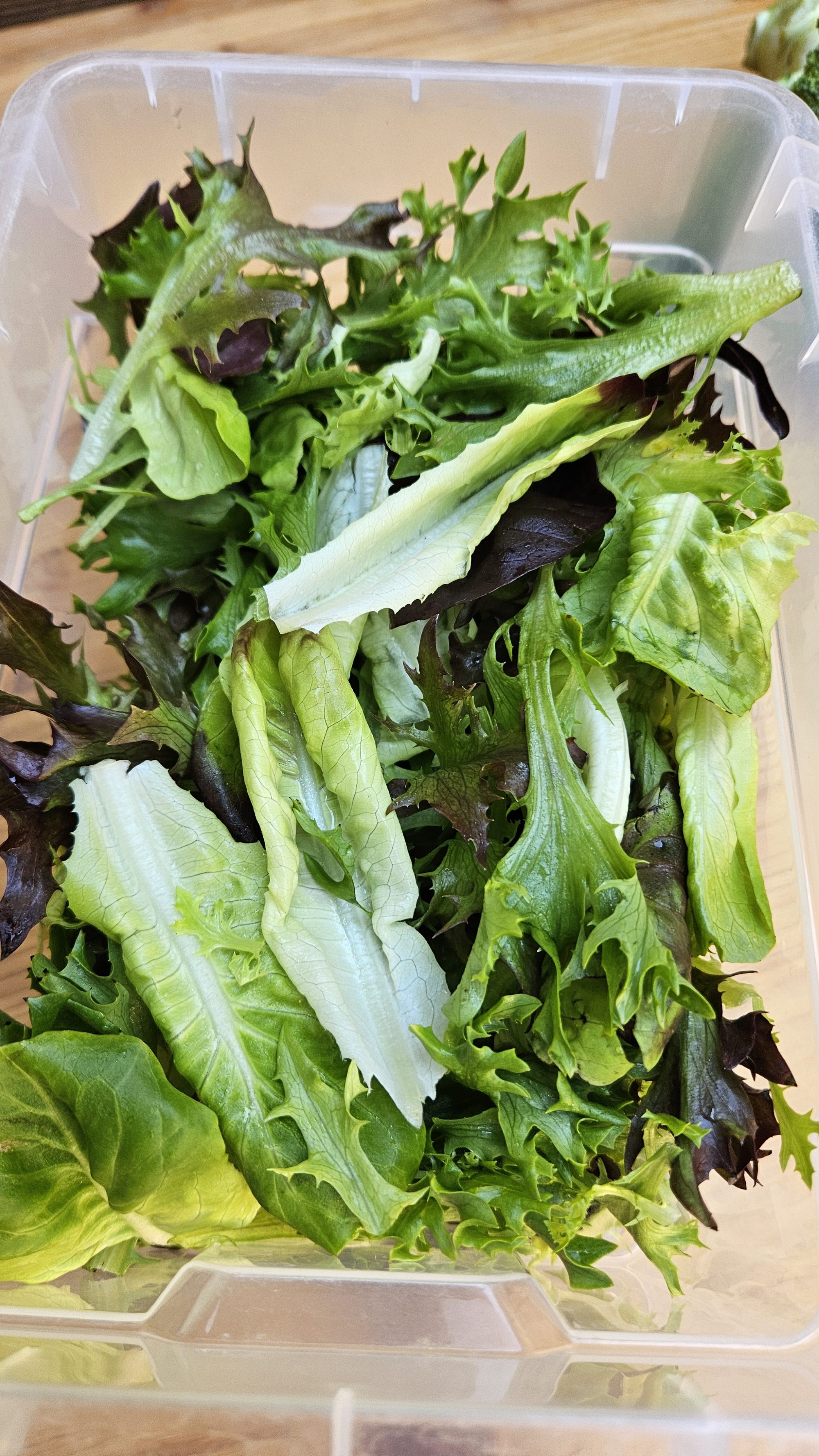 Frischer Schnittsalat