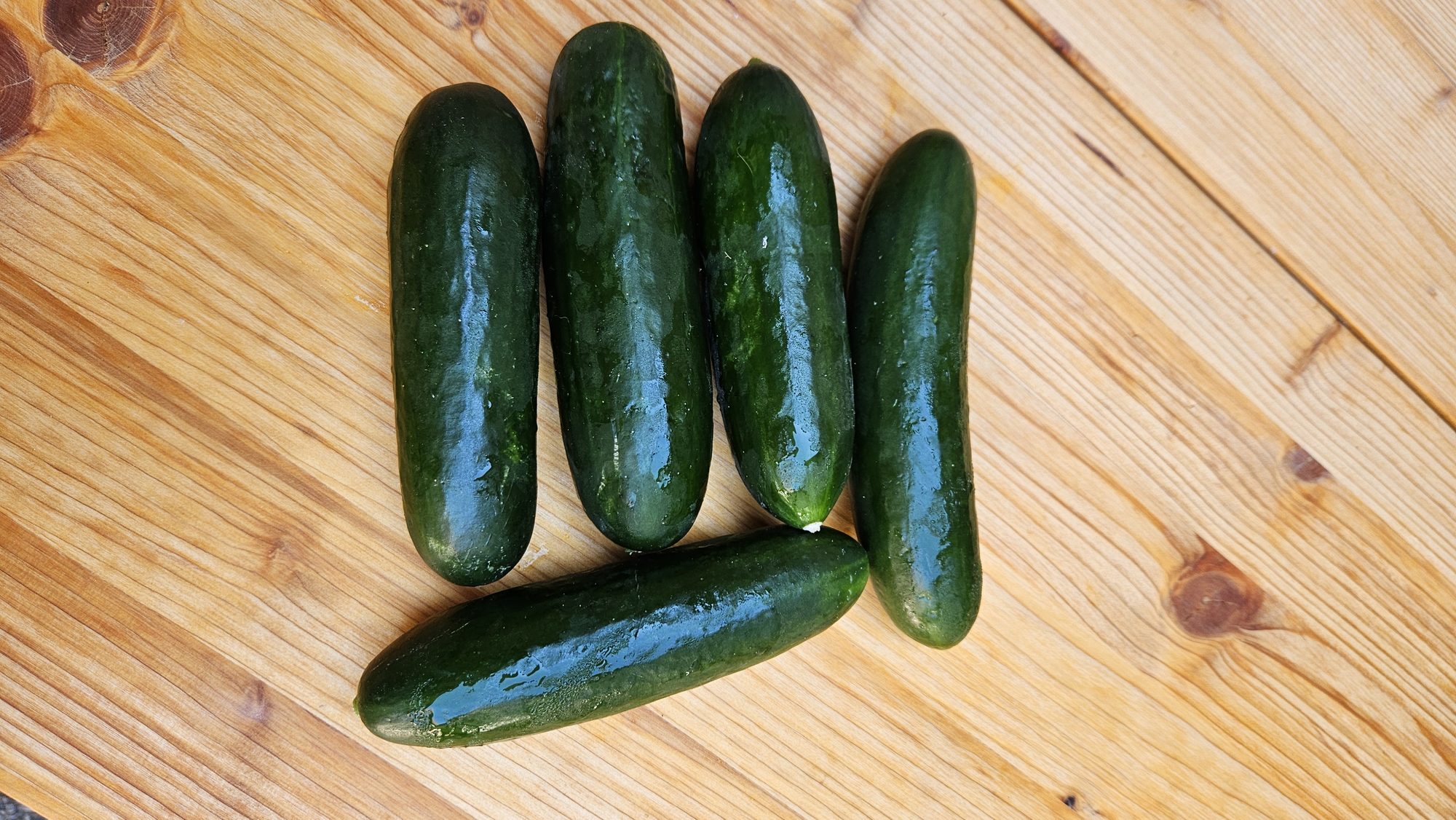 Frische Gurken