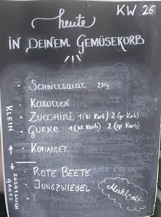 Gemüseauswahl bei saisonalem, regionalem Bio-Gemüseabo – Bild 22