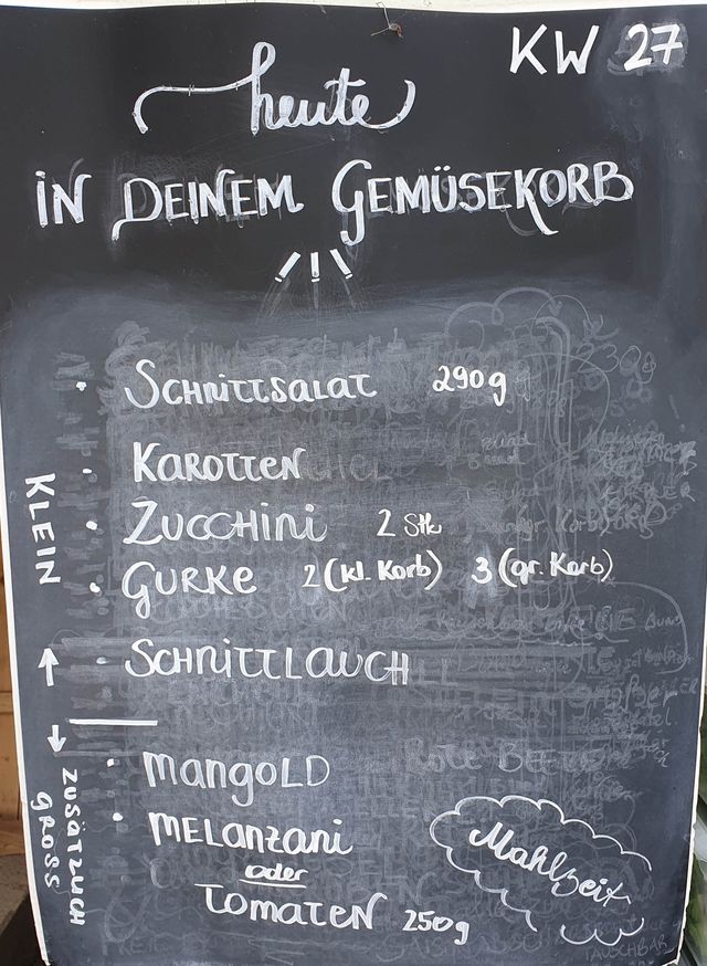 Gemüseauswahl bei saisonalem, regionalem Bio-Gemüseabo – Bild 21