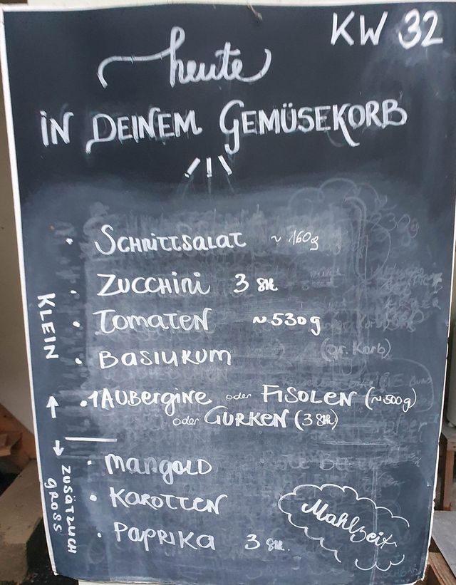 Gemüseauswahl bei saisonalem, regionalem Bio-Gemüseabo – Bild 16