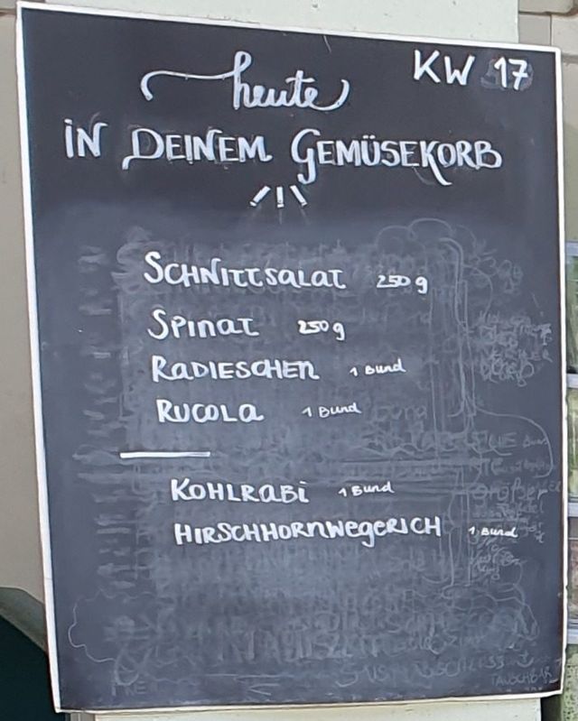 Gemüseauswahl bei saisonalem, regionalem Bio-Gemüseabo – Bild 2