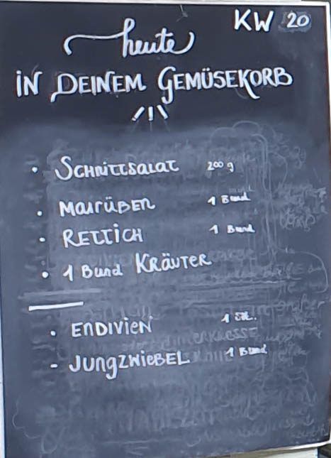 Gemüseauswahl bei saisonalem, regionalem Bio-Gemüseabo – Bild 29