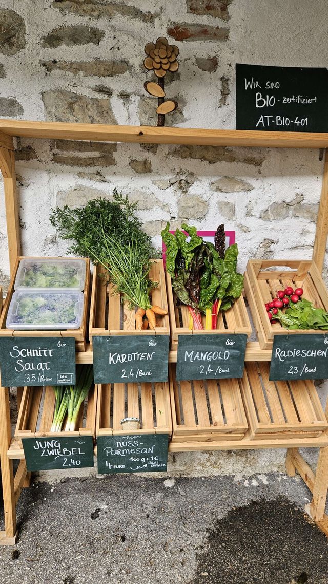 🥬 Rezepte, Bilder und Videos zur Ernte – KW23 03.06.2026