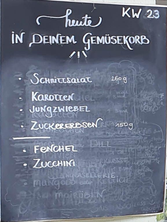 Gemüseauswahl bei saisonalem, regionalem Bio-Gemüseabo – Bild 26