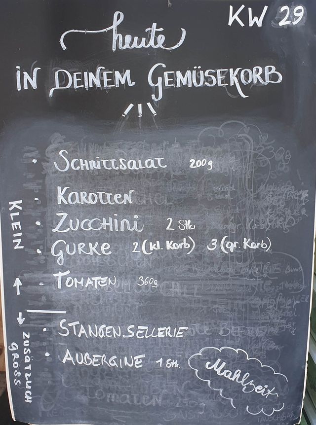 Gemüseauswahl bei saisonalem, regionalem Bio-Gemüseabo – Bild 19