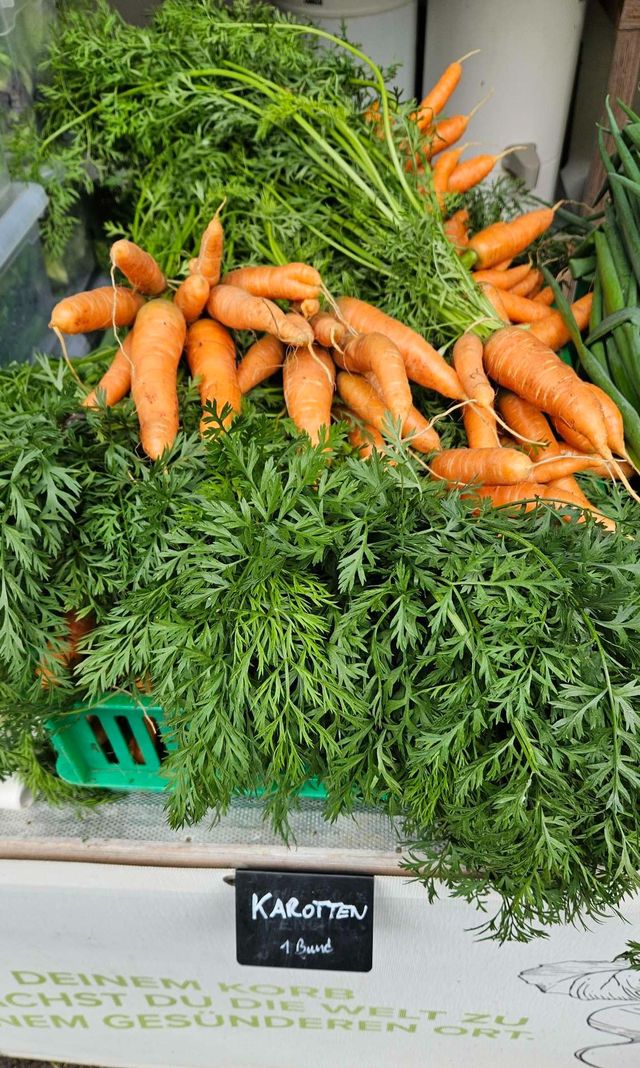 🥬 Rezepte und Bilder zur Ernte – KW24 10.06.2026 – Bild 2