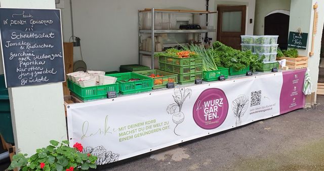 der GUTLADEN. - Unsere Gemüseauswahl in KW36 ab 08.09.2022 – Bild 6