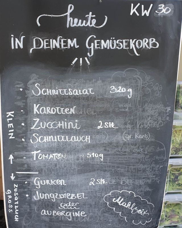 Gemüseauswahl bei saisonalem, regionalem Bio-Gemüseabo – Bild 17