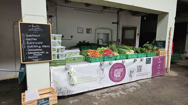 🥬 Rezepte, Bilder und Videos zur Ernte – KW23 03.06.2026 – Bild 4