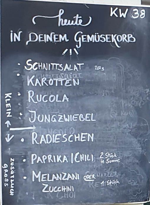 Gemüseauswahl bei saisonalem, regionalem Bio-Gemüseabo – Bild 10