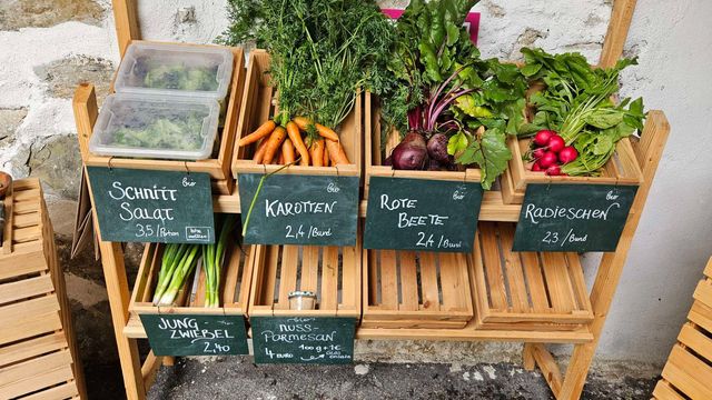 🥬 Rezepte und Bilder zur Ernte – KW24 10.06.2026 – Bild 6