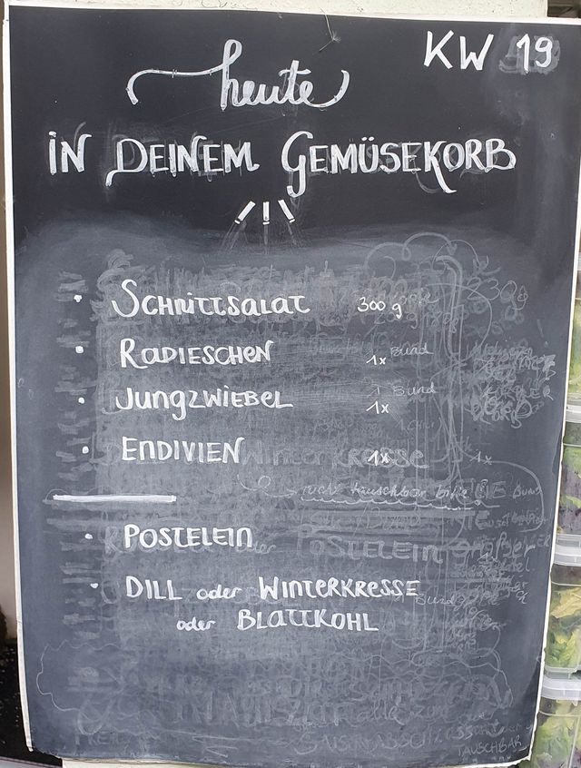 Gemüseauswahl bei saisonalem, regionalem Bio-Gemüseabo – Bild 27