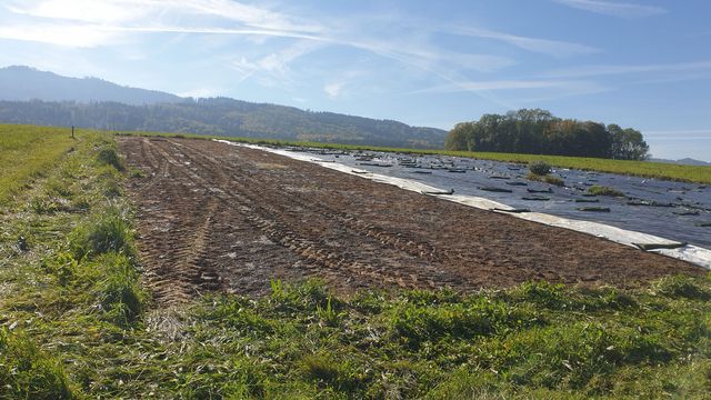 ÜBERS SÄEN, GRABEN & HÄMMERN: mit vielen Händen zum Erfolg – Bild 6