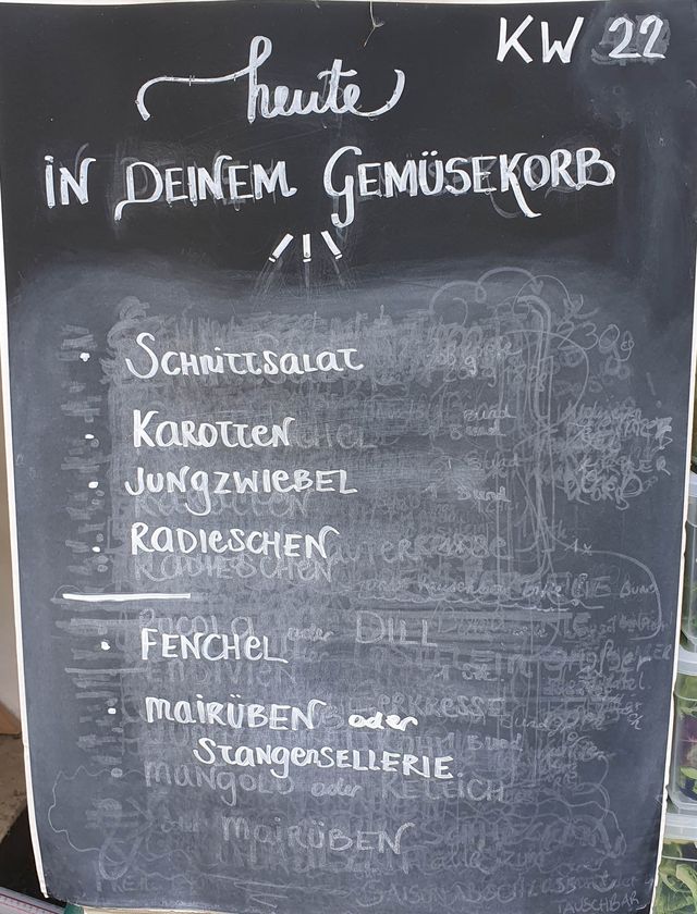 Gemüseauswahl bei saisonalem, regionalem Bio-Gemüseabo – Bild 25