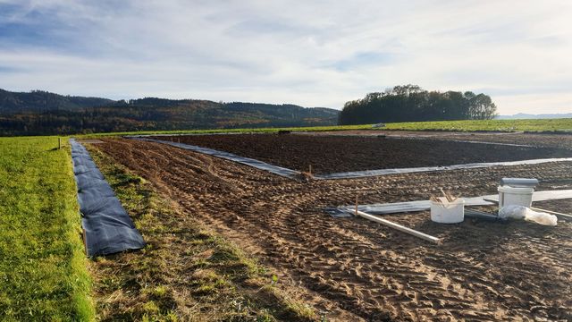 ÜBERS SÄEN, GRABEN & HÄMMERN: mit vielen Händen zum Erfolg – Bild 5
