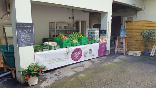 der GUTLADEN. - Unsere Gemüseauswahl in KW37 ab 16.09.2022 – Bild 8