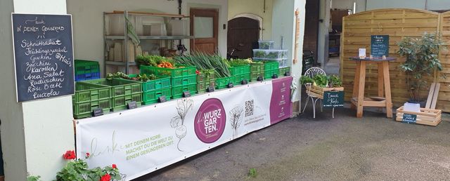 der GUTLADEN. - Unsere Gemüseauswahl in KW34 ab 25.08.2022 – Bild 8