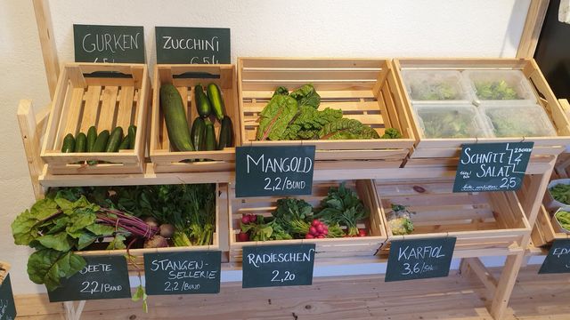 Hochsaison im WURZGARTEN – Bild 14