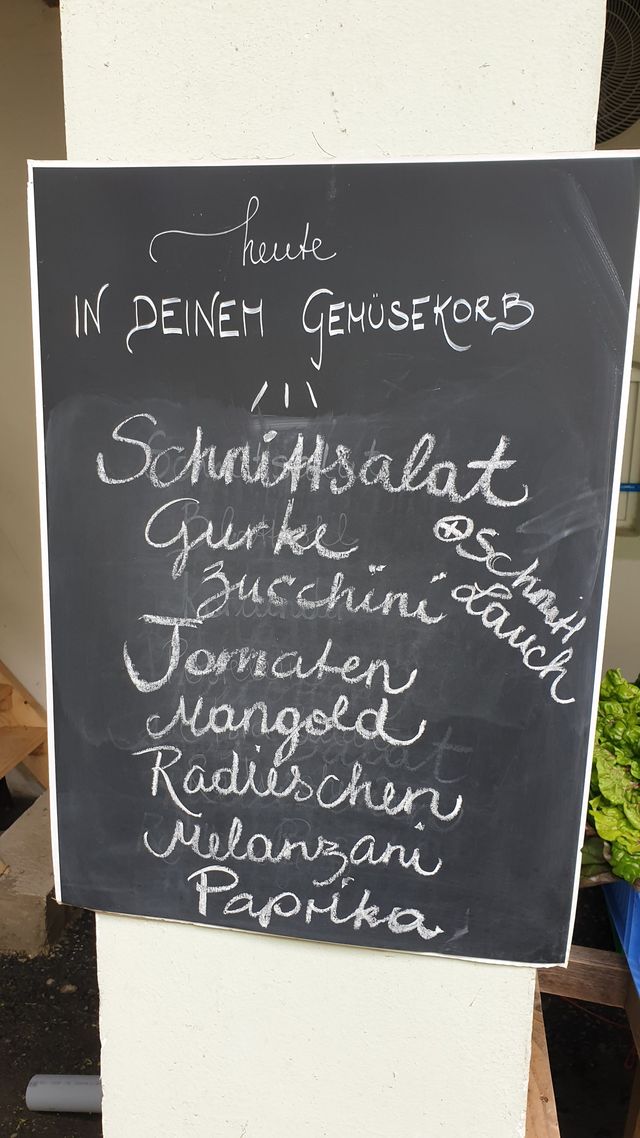 der GEMÜSEKORB. in KW35 | Erntebericht und Gemüsesorten – Bild 8