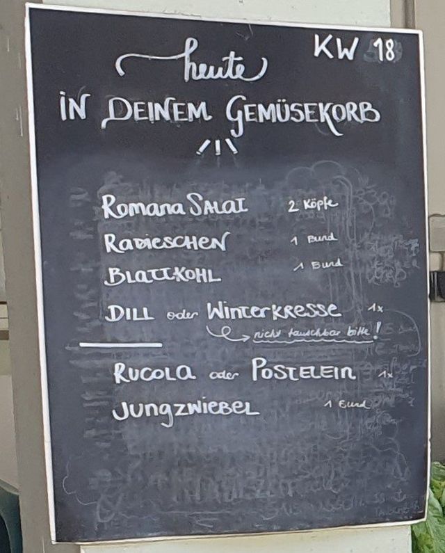 Gemüseauswahl bei saisonalem, regionalem Bio-Gemüseabo – Bild 3