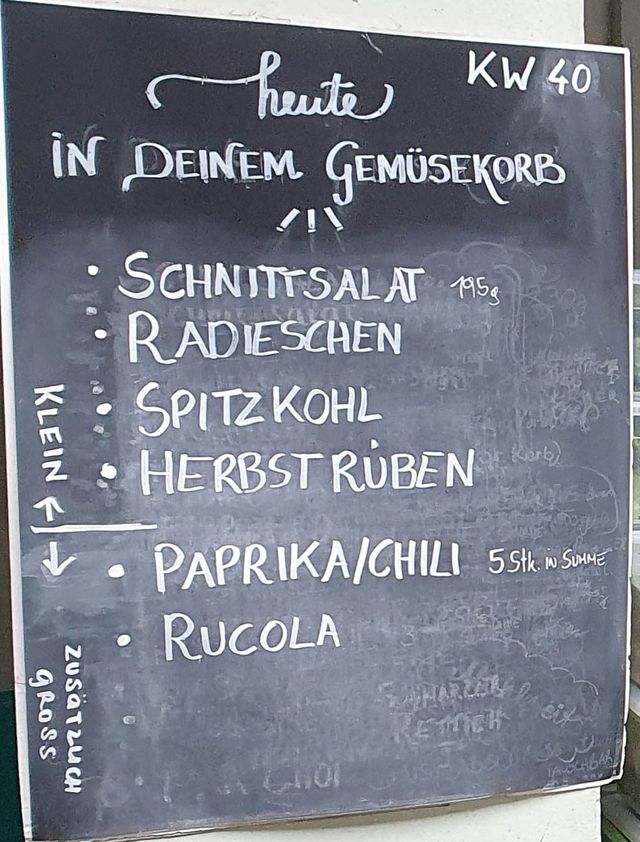 Gemüseauswahl bei saisonalem, regionalem Bio-Gemüseabo – Bild 8