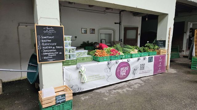 🥬 Rezepte, Bilder und Videos zur Ernte – KW23 03.06.2026 – Bild 2