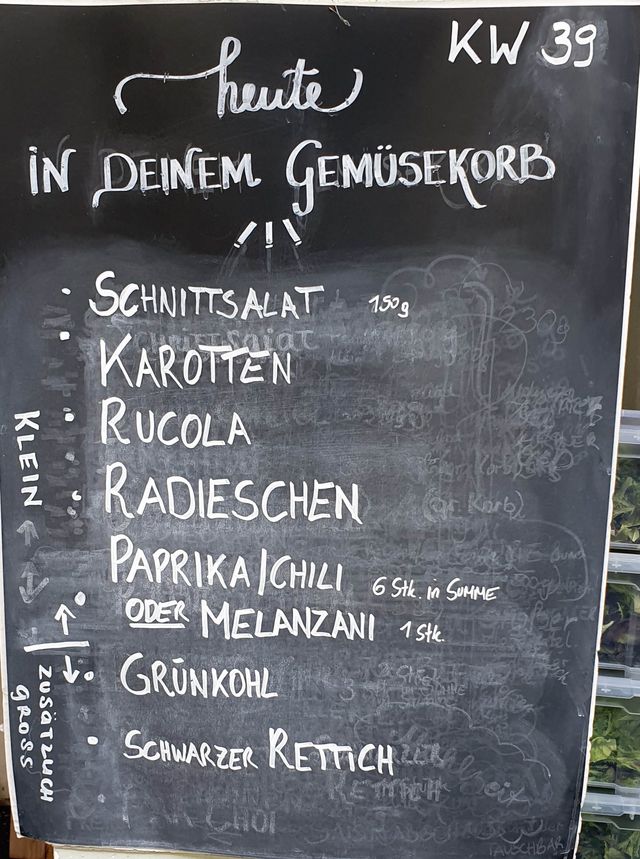 Gemüseauswahl bei saisonalem, regionalem Bio-Gemüseabo – Bild 9