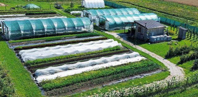 Im WURZGARTEN. betreiben wir seit 2022 biointensiven Gemüsebau auf kleinster Fläche mit standardisierten Beeten.