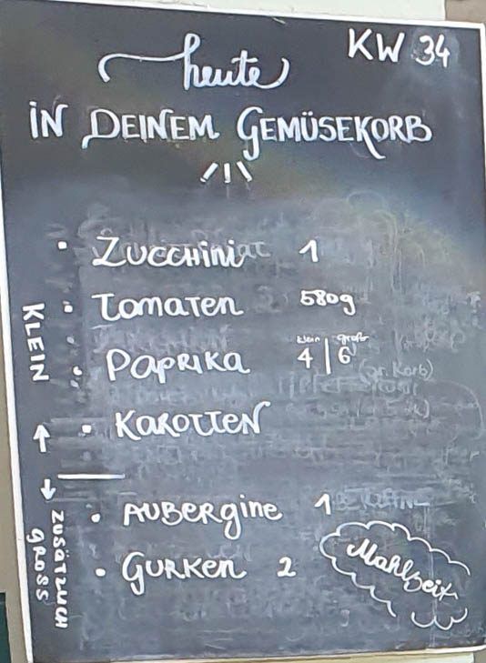 Gemüseauswahl bei saisonalem, regionalem Bio-Gemüseabo – Bild 14