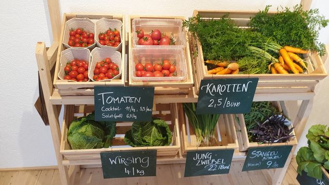 Hochsaison im WURZGARTEN – Bild 16