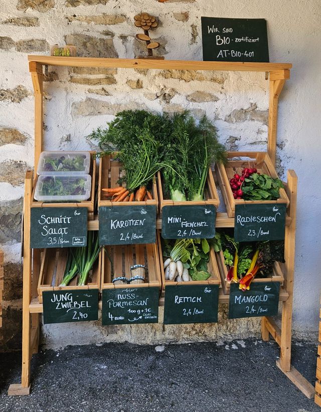 🥬 Unsere Ernte Ende Mai in Bildern und mit fantastischen Rezepten – Bild 3