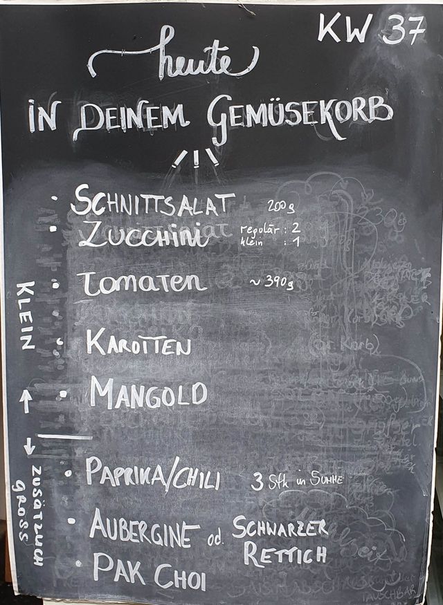 Gemüseauswahl bei saisonalem, regionalem Bio-Gemüseabo – Bild 11
