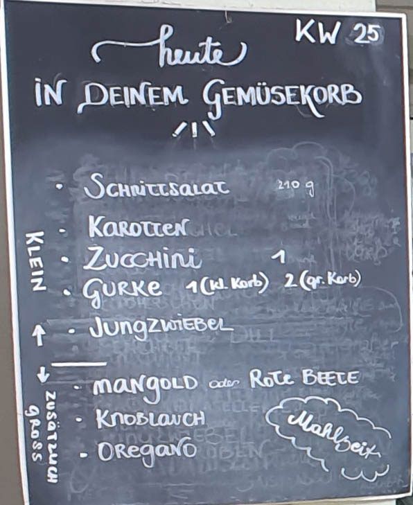 Gemüseauswahl bei saisonalem, regionalem Bio-Gemüseabo – Bild 23