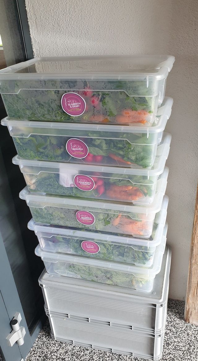der GUTLADEN. - Unsere Gemüseauswahl in KW35 ab 01.09.2022 – Bild 8