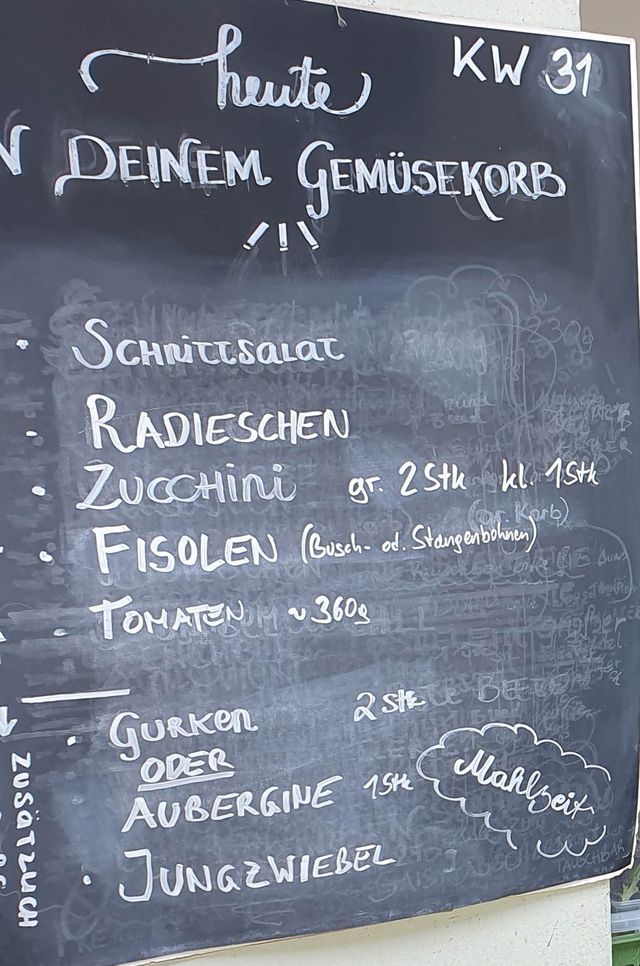 Gemüseauswahl bei saisonalem, regionalem Bio-Gemüseabo – Bild 18