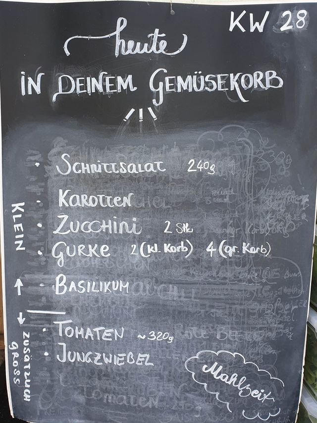Gemüseauswahl bei saisonalem, regionalem Bio-Gemüseabo – Bild 20