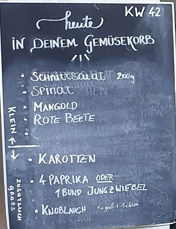 Gemüseauswahl bei saisonalem, regionalem Bio-Gemüseabo – Bild 7