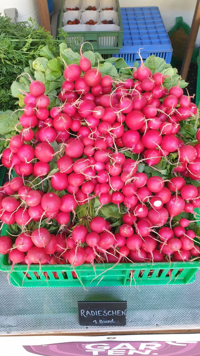 Hochsaison im WURZGARTEN – Bild 8