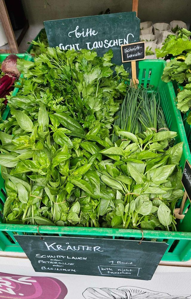 🥬 Rezepte und Bilder zur Ernte – KW24 10.06.2026 – Bild 9