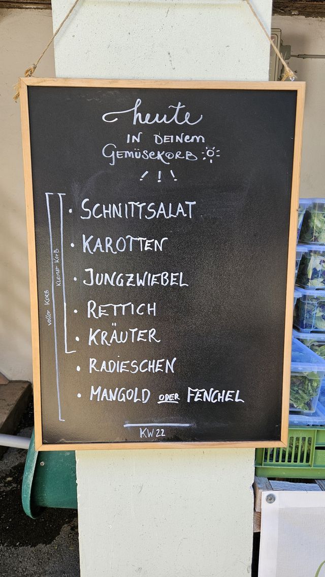 🥬 Unsere Ernte Ende Mai in Bildern und mit fantastischen Rezepten