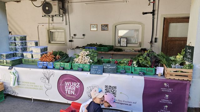 🥬 Unsere Ernte Ende Mai in Bildern und mit fantastischen Rezepten – Bild 4