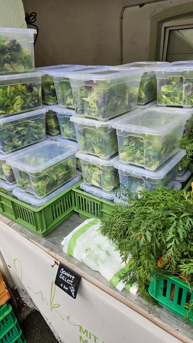🥬 Rezepte und Bilder zur Ernte – KW24 10.06.2026 – Bild 3